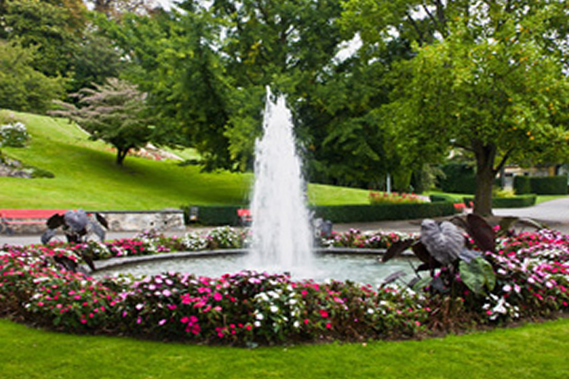 Mantenimiento de jardinerías y fuentes ornamentales